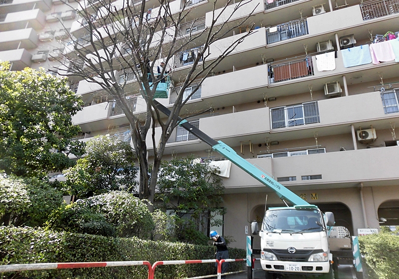 東京営業所の写真(東京都江東区)